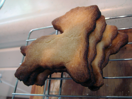 lamb cookies